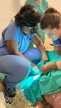 two women in scrubs are doing surgery on an elephant's leg while another woman looks at her phone