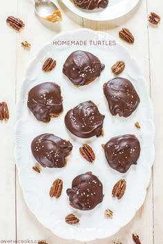 chocolate covered pecans on a white plate