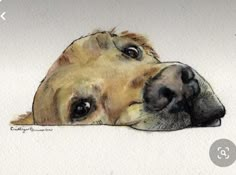 a drawing of a dog's head resting on the ground