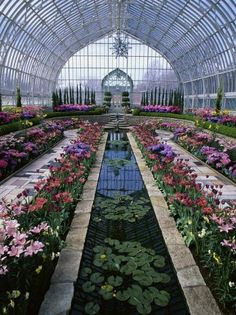 the inside of a greenhouse filled with lots of flowers and water lilies in bloom