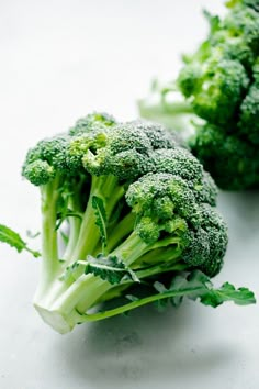 broccoli florets sitting on top of a white counter next to each other