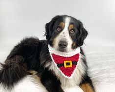 a dog wearing a santa clause scarf on top of a bed