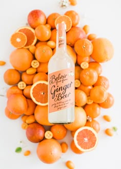 a bottle of ginger beer surrounded by oranges