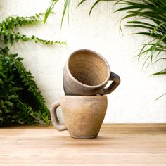 two coffee mugs stacked on top of each other in front of some potted plants