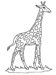 a giraffe is standing in the grass coloring pages for kids, printable