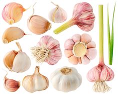 an assortment of different types of garlic on a white background