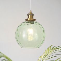 a green glass globe light hanging from a ceiling fixture next to a palm tree and potted plant