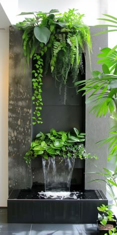 an outdoor fountain with plants growing out of it and water running down the side wall