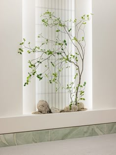 there is a plant in the window sill next to two rocks and a rock