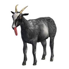 a goat with horns sticking out its tongue is standing in front of a white background