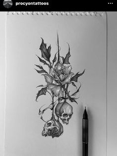 a pencil drawing of a skull and flowers