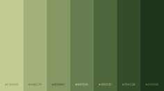 an image of green color swatches in the middle of two rows, each with different colors