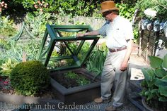 a man in a hat standing next to some plants and looking at something on the ground