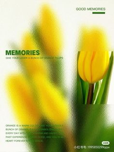 yellow tulips are in a green vase on a white background with the words memories