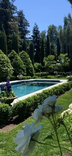 a pool in the middle of a garden surrounded by trees and bushes with white flowers