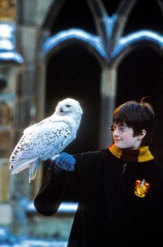 a young boy holding an owl in his hand