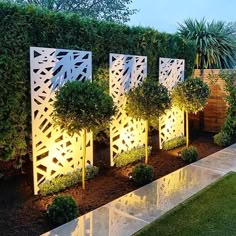 an outdoor garden with trees and bushes lit up at night, along side a walkway