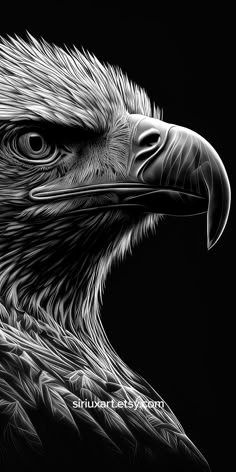 Stylish Black & White Eagle Deep Etch Digital Wallpaper Art Egal Wallpaper Hd, Stylish Wallpapers For Phone, Egal Bird Wallpaper, Black Eagle Wallpaper, Stylish Wallpapers Hd, Eagle Wallpaper Iphone, Eagle Wallpaper Hd, Eagle Line Art, Wallpaper Eagle