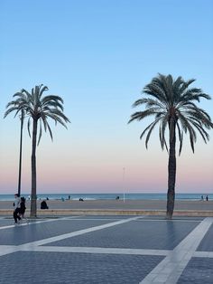 two palm trees in front of the ocean with people sitting on benches and walking around