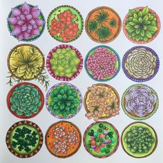 a bunch of different colored plates with flowers on them and plants in the middle one