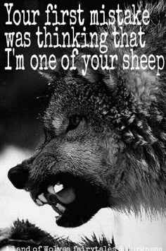 a wolf with its mouth open and the words, your first mistake was thinking that i'm one of your sheep