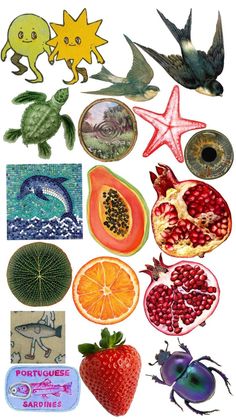 an assortment of different fruits and vegetables on a white background, including oranges, pomegranates, strawberries, starfish, and other items