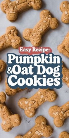 These DIY natural dog treats, Pumpkin and Oat Cookies, are easy, healthy, and perfect for your dog’s dental care! Made with simple ingredients like pumpkin and oats, they’re ideal for dogs with sensitive stomachs and help promote good digestion. Whether you're looking for DIY dog treats for teeth cleaning or just healthy, homemade snacks, this recipe has you covered. Try these DIY organic dog treats and give your pup the tasty, nutritious reward they deserve! Puppy Treats With Pumpkin, Cheerio Dog Treats, Puppy Dog Treats, Peanut Free Dog Treats, Recipe For Healthy Dog Treats, Turmeric Treats For Dogs, Easy At Home Dog Treats