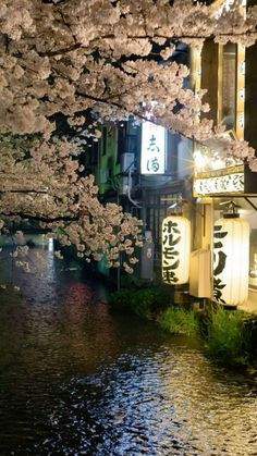 a river running through a city with lots of cherry blossom trees in the foreground