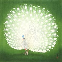 a painting of a white peacock with feathers spread out, on a green background that appears to be in color