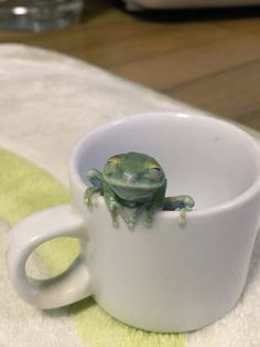 a small green frog sitting inside of a white cup on top of a tablecloth