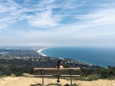 a woman sitting on top of a bench near the ocean