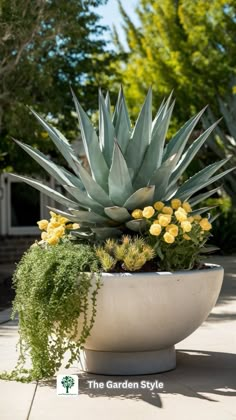 a potted plant with yellow flowers and greenery on the ground in front of a house