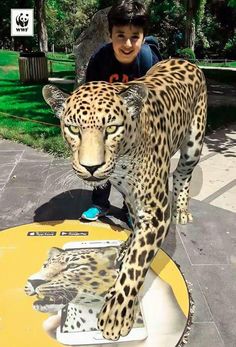 a young boy standing next to a fake cheetah on top of a table