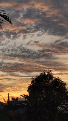 the sun is setting over some trees and buildings in the distance, with an airplane flying through the sky