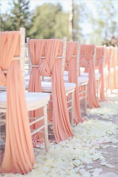 rows of chairs with pink drapes and white petals on the floor in front of them