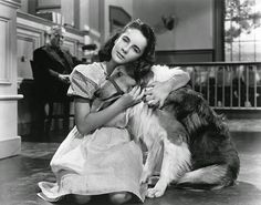 a woman holding a dog in her arms while sitting on the floor with other people