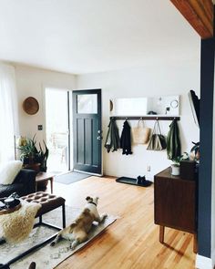 a dog laying on the floor in a living room with wood floors and white walls