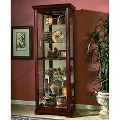 a tall wooden display case filled with lots of items next to a potted plant