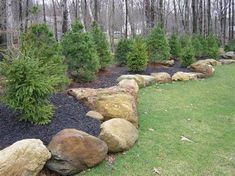 a garden with rocks and trees in the background