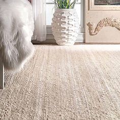 a white cat sitting on top of a rug next to a window