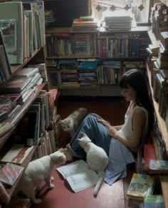 a woman sitting on the floor next to two cats in front of bookshelves