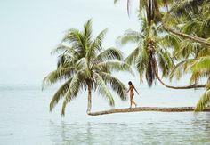 a person walking on a tree branch in the water with palm trees behind them and blue sky