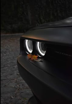 the front lights of a black car with leaves on it