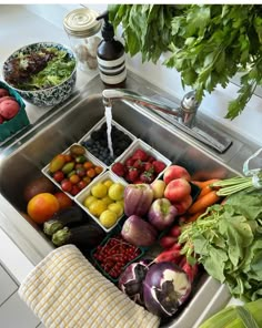 a sink filled with lots of fruits and vegetables