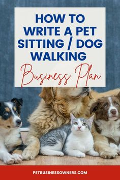 How to Write a Pet Sitting/Dog Walking Business Plan Petsitting Business Tips, Dog Boutique Ideas, Sitting Ideas, Doggie Day Care, Business Canvas