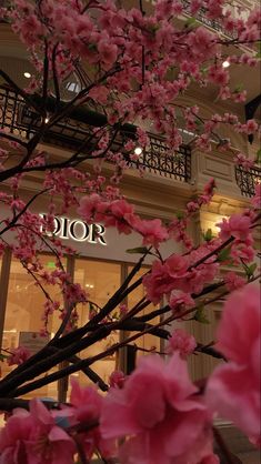 pink flowers in front of a store with the word dior on it's sign