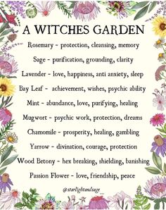 Witches Garden, Witchy Garden, Magia Das Ervas, Witch Garden