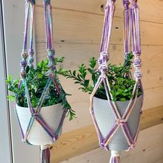 two potted plants hanging from macrame planters with ropes attached to them