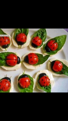 the ladybugs are on top of tortilla shells with spinach leaves