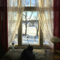 a black cat sitting on top of a bed in front of a window covered in snow